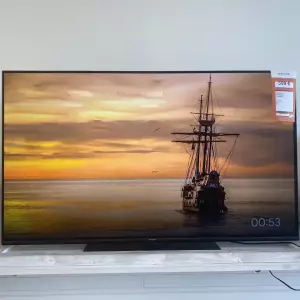 TÉLÉVISION 55" — PANASONIC