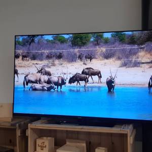 TÉLÉVISION 55" - PANASONIC