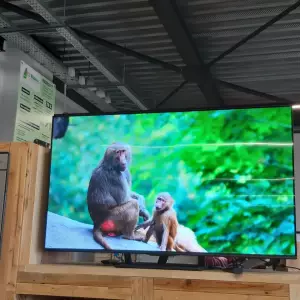 TÉLÉVISION 55" — HISENSE