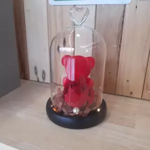 OURS SOUS CLOCHE — GIFI