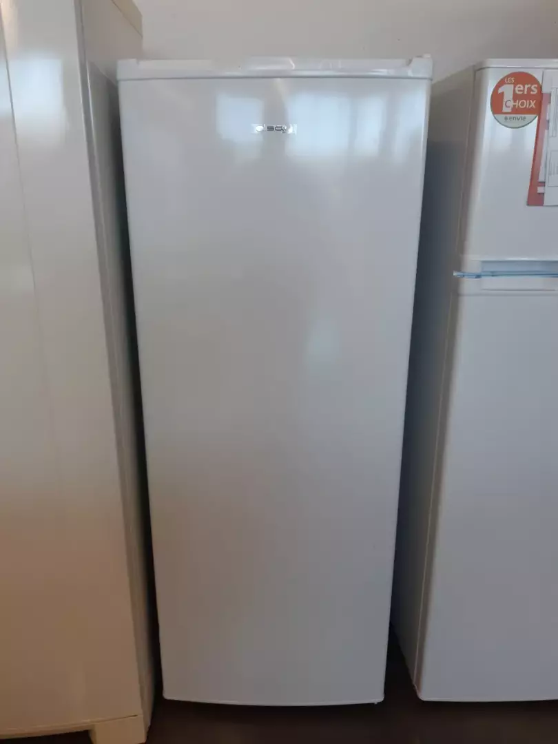 CONGÉLATEUR ARMOIRE 170 litres - ESLAY