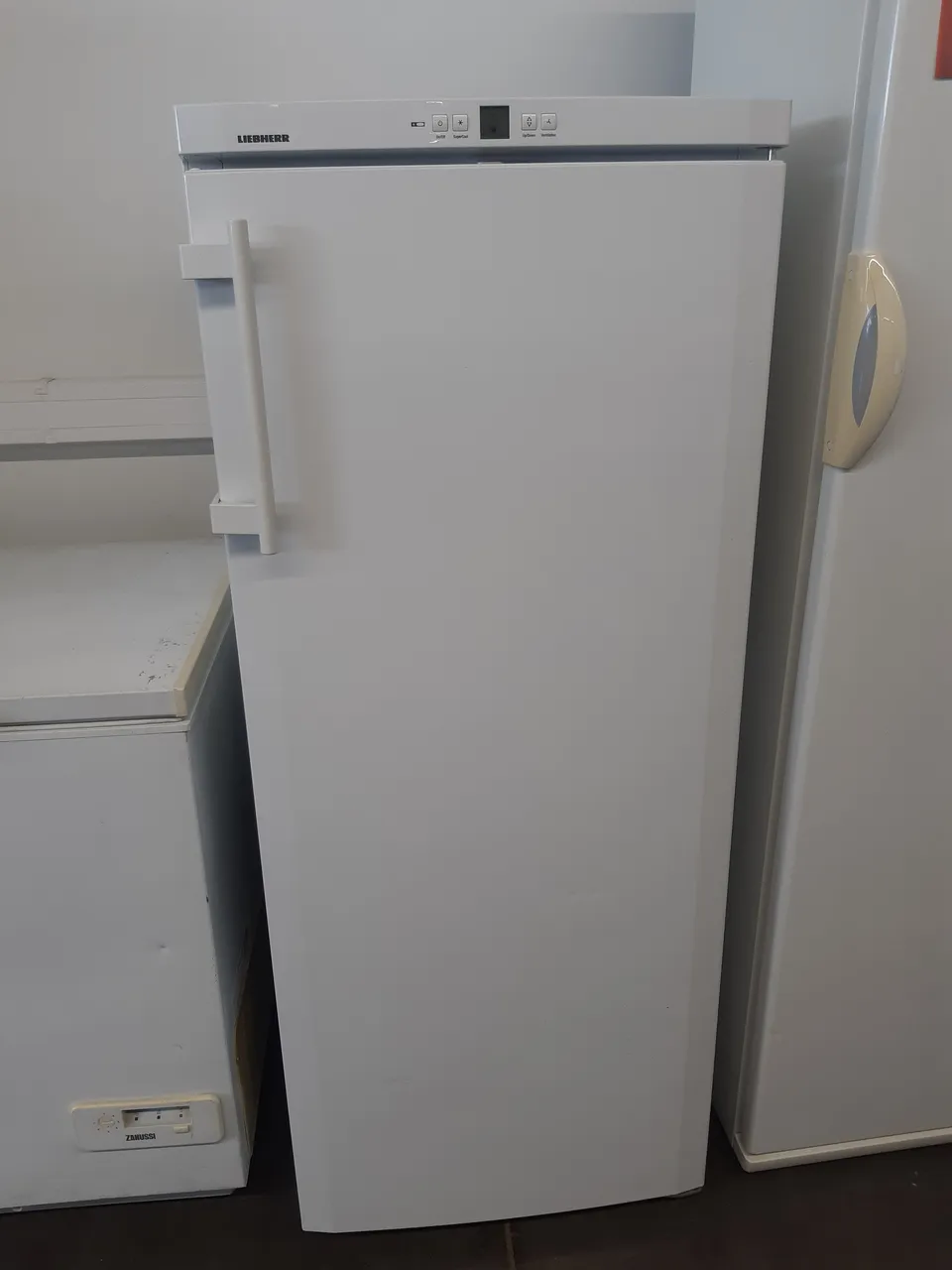 RÉFRIGÉRATEUR SIMPLE FROID 295 LITRES — LIEBHERR